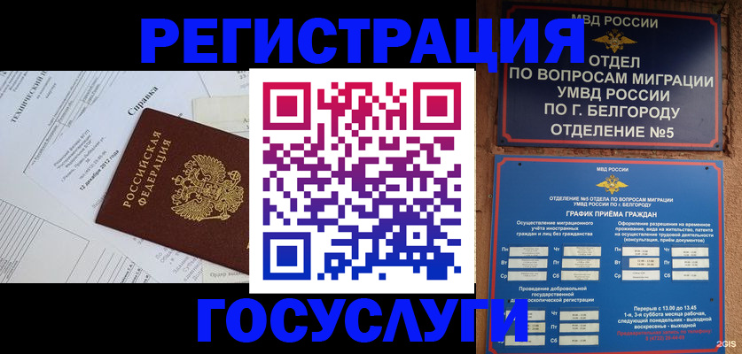 временная прописка в Острове